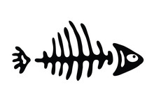 Fish Bone, Vector Illustration