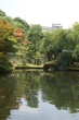 新緑の好古園と姫路城