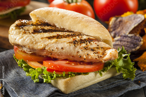 Fotomural Healthy Grilled Chicken Sandwich