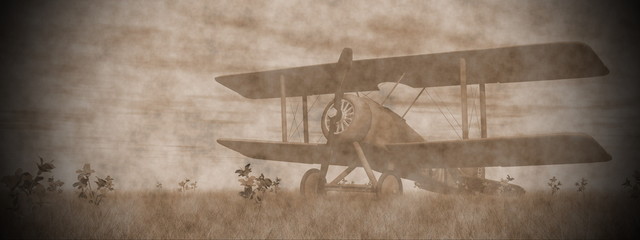 Wall Mural - Biplane on the grass - 3D render