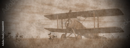 Cuadros en Lienzo Biplane on the grass - 3D render