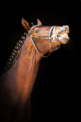 Fototapeta stajnia rasowy koń