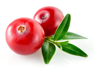 Poster - Cranberry with leaves on white background