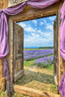 Lavender in Provence, HDR
