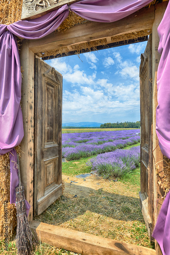 Naklejka na szybę Lavender in Provence, HDR