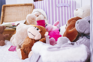  Stuffed animal toys in interior room