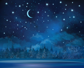 Wall Mural - vector night winter scene, sky and forest background.