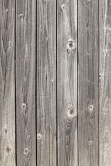 Wall Mural - old grey planks