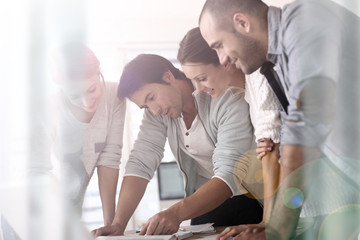 Wall Mural - Group of business people in office working on project