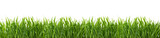 Fototapeta Kuchnia - Green grass isolated on white background.