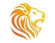 lion logo,lion head symbol,silhouette carnivore icon