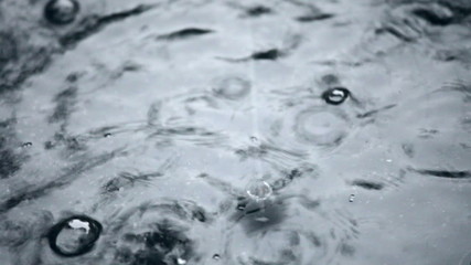 Wall Mural - rain drops rippling in a puddle