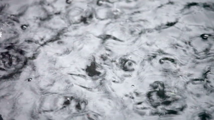 Wall Mural - rain drops rippling in a puddle