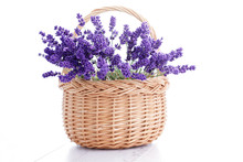 Basket Of Lavender