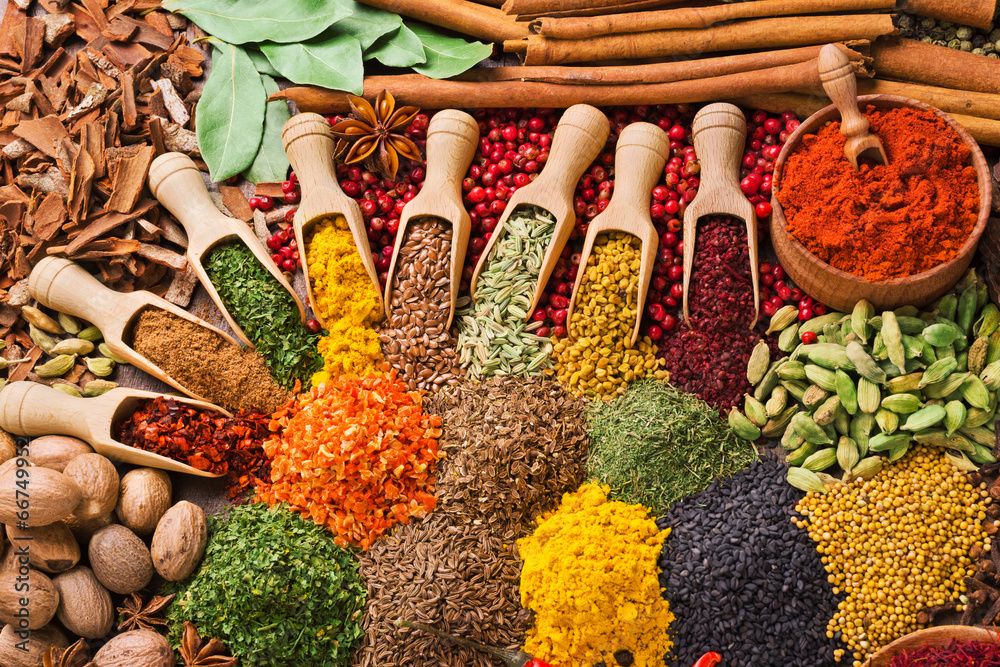 composition with different spices and herbs - obrazy, fototapety, plakaty 