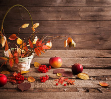 Autumn Still Life With Apples And Berries