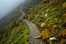 Misty Mountains And Hiking Trail