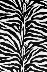 Wall Mural - texture of zebra skin