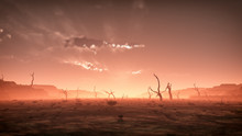 Extreme Spooky Dry Misty Desert Landscape With Dead Trees At Sun
