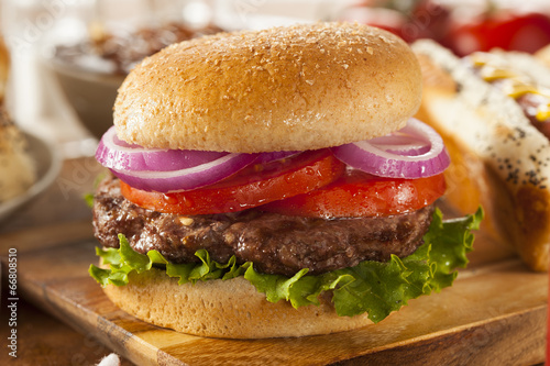 Fotografie, Obraz Hearty Grilled Hamburger with Lettuce and Tomato
