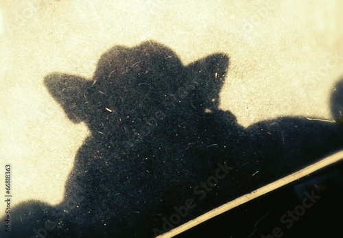 Yoda is back Tapéta, Fotótapéta