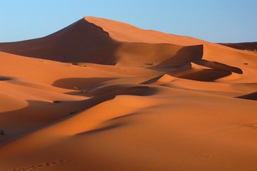 Wall Mural - Sahara Desert