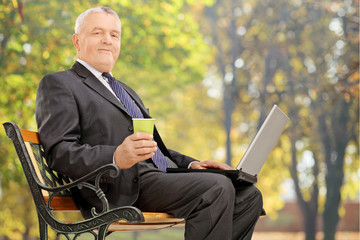 Sticker - Mature businessman working on a laptop