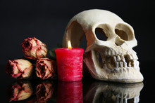 Composition With Skull,  Candle And Dried Rose Isolated On