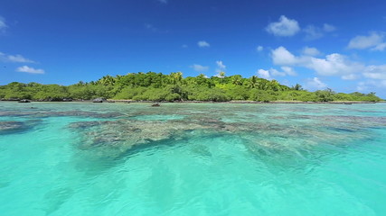 Wall Mural - tropical island and blue ocean with coral reef