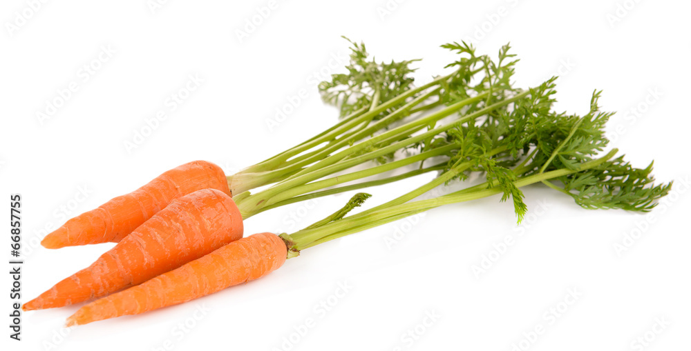 Fresh carrot with leaves isolated on white