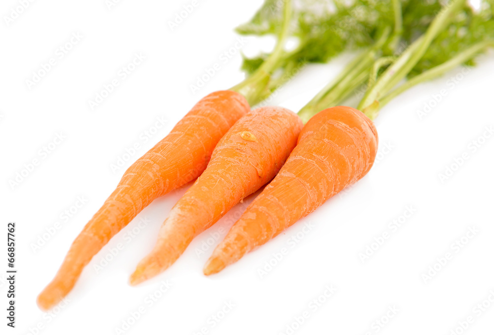 Fresh carrot with leaves isolated on white