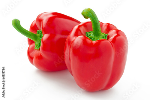 Fotografia  パプリカ