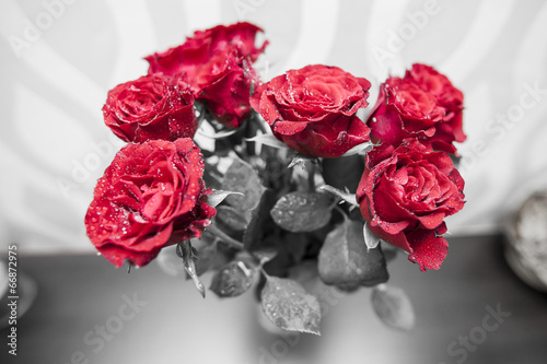 Fototapeta na wymiar Bouquet of blossoming dark red roses in vase