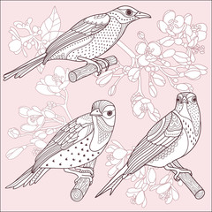 Sticker - Birds and flowers