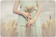 © Kanea - Woman holding some corn spikes