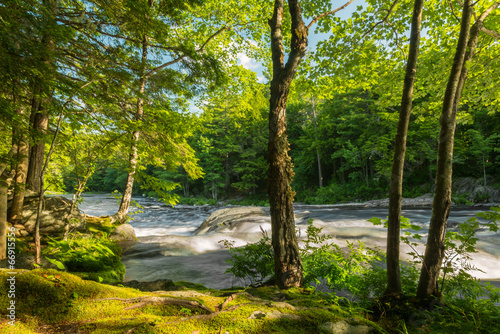 Nowoczesny obraz na płótnie River in the forest