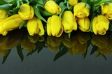 Fototapeta Tulipany - tulipany na czarnym tle