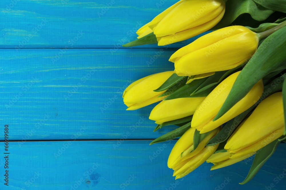 żółte tulipany na niebieskich deskach - obrazy, fototapety, plakaty 