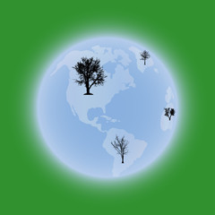 Wall Mural - Vector silhouette of the globe.