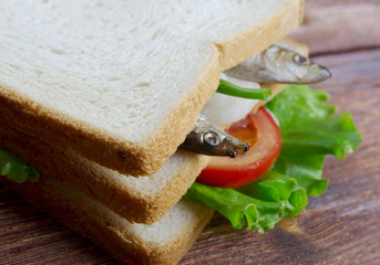 Canvas Print - sandwiches with anchovies