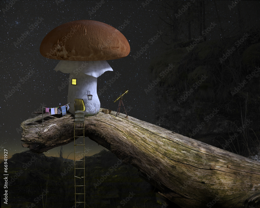 Fairytale mushroom house under the starry night sky. - obrazy, fototapety, plakaty 