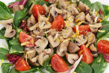 Sticker - Mushroom salad with tomatoes.