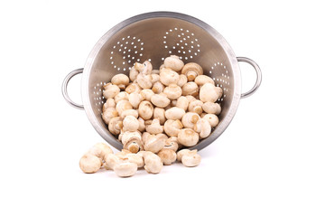 Wall Mural - Heap of mushrooms and metal colander.