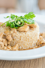 Canvas Print - Chicken with brown sauce on rice