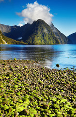 Canvas Print - Milford Sound, New Zealand