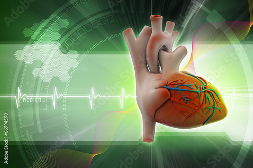 Nowoczesny obraz na płótnie Human heart