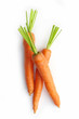 fresh raw carrot