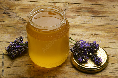 Fototapeta do kuchni Lavandula Лаванда Lawenda Lavanda Lavendel ضرم