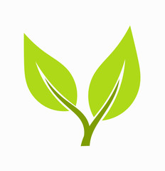 Wall Mural - leaf icon