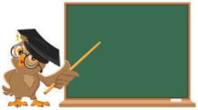 Owl Teacher Holding Pointer At Blackboard
